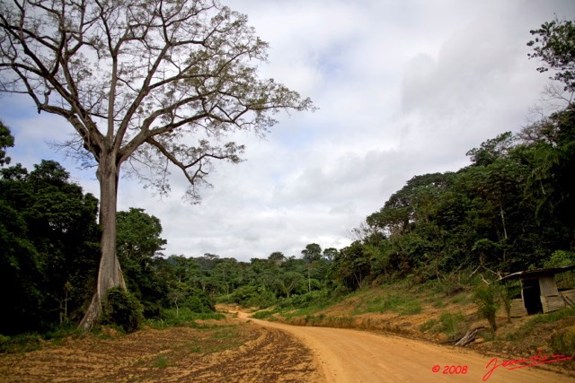 Le Massif du CHAILLU